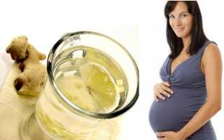 Имбирный чай при беременности — польза и вред