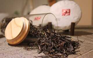 Монгольский чай: особенности необычного напитка
