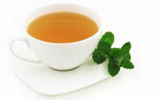 Чай с мятой: польза и вред для женщин