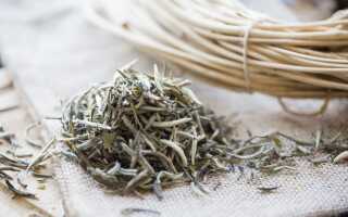 Белый чай: польза и вред. Как заваривать белый чай