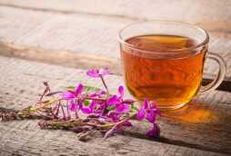 Как употреблять иван-чай с пользой для здоровья