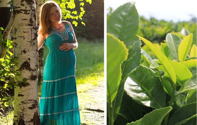 Листья чая и беременная девушка