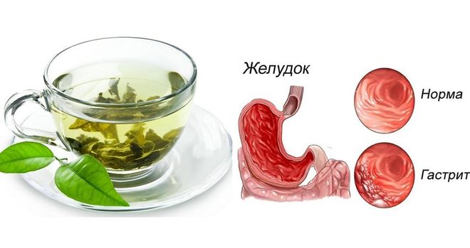 Чай при заболеваниях желудка